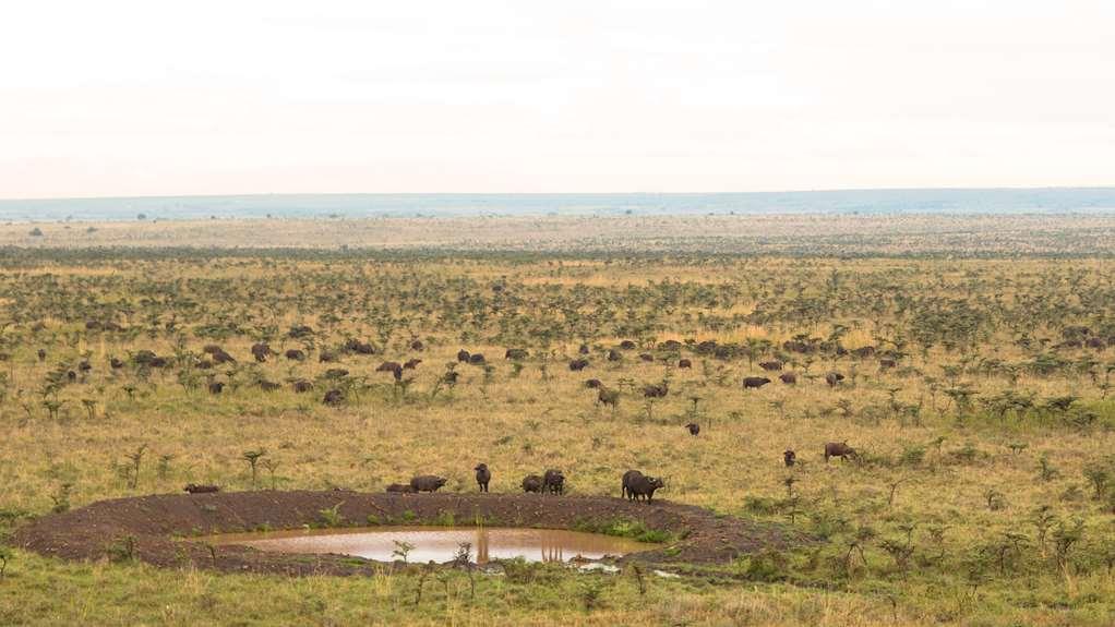 Ole Sereni Nairobi Exteriör bild